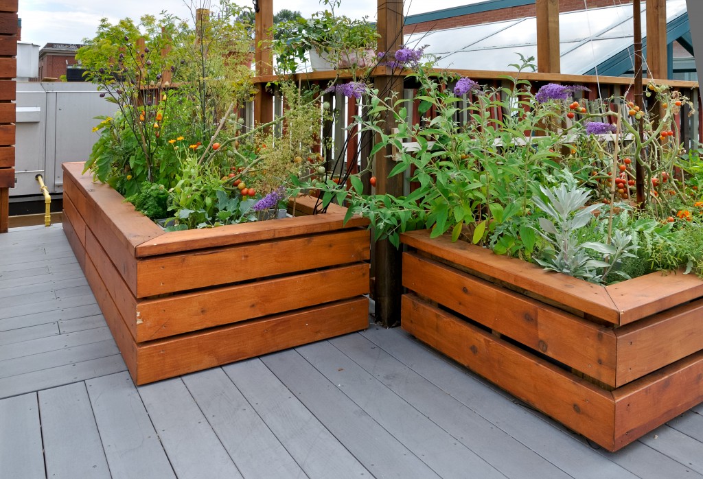Top 30 Organic Gardening Blogs And Websites For Gardeners Shutterstock 83093326 Top 30 Organic Gardening Blogs Winners