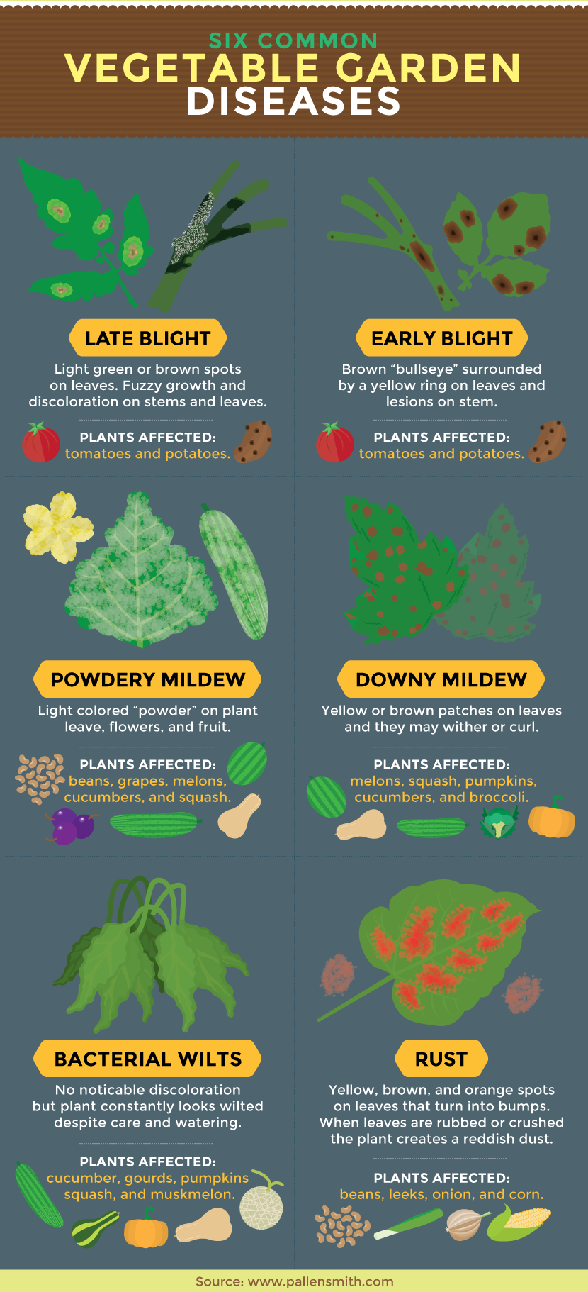 17 Common Diseases of Leafy Vegetables Photos, Prevention, and