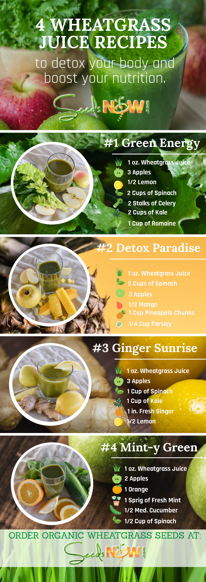 4 Wheatgrass Juice Recipes To Detox The