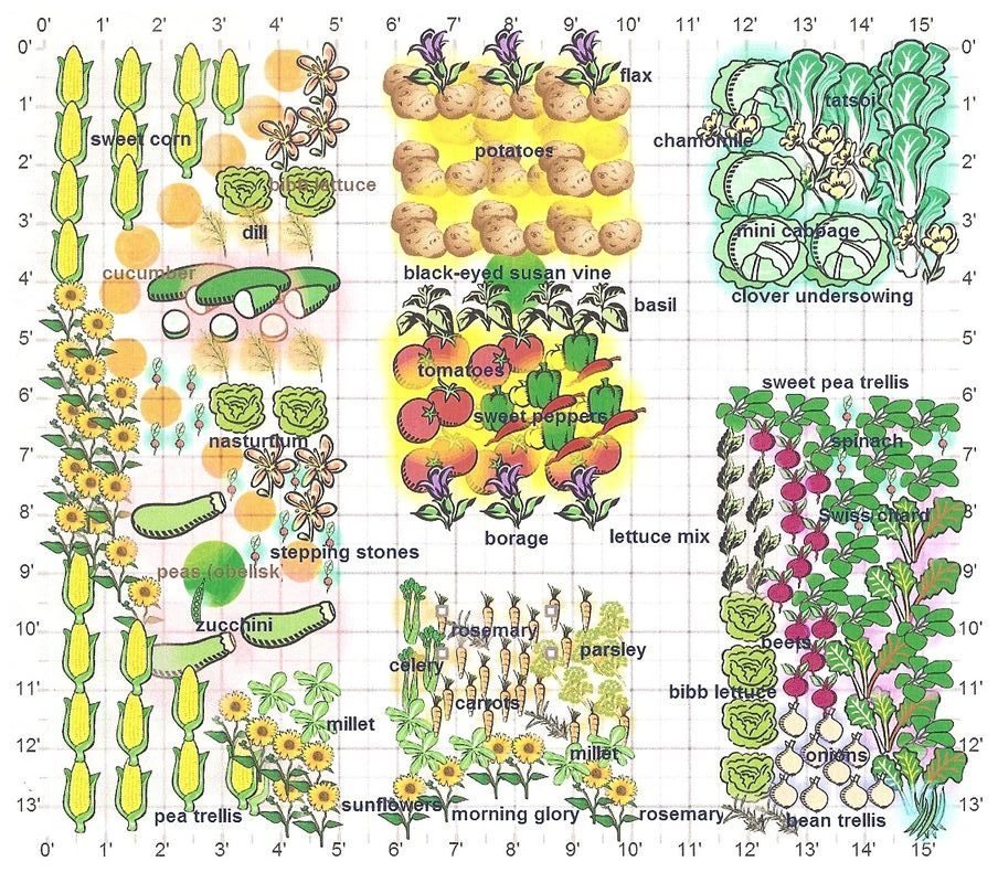 companion vegetable garden planner