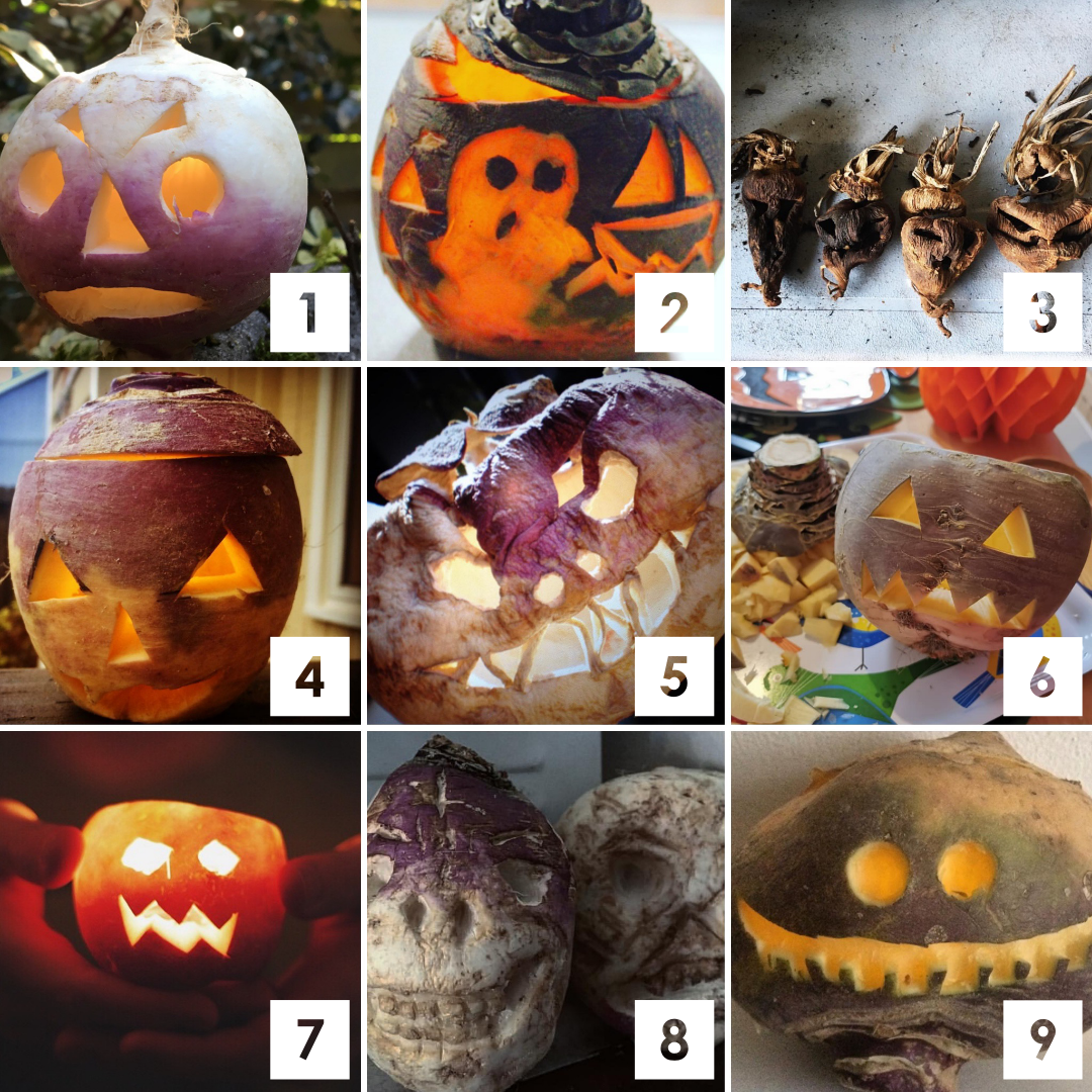 How Jack O’Lanterns Originated in Irish Myth Urban Organic Gardener