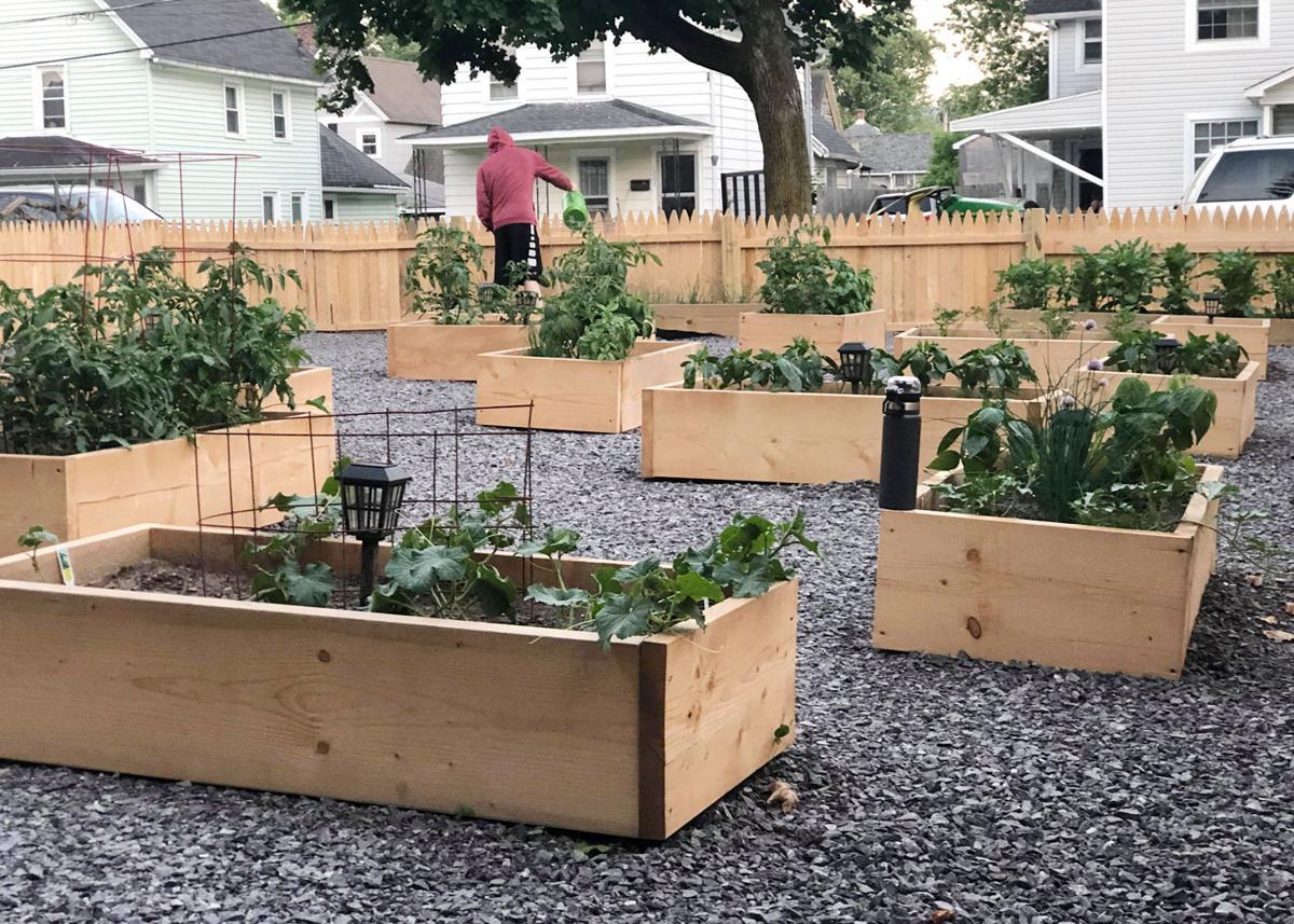 Olean residents reap rewards of Healthy Families community gardens