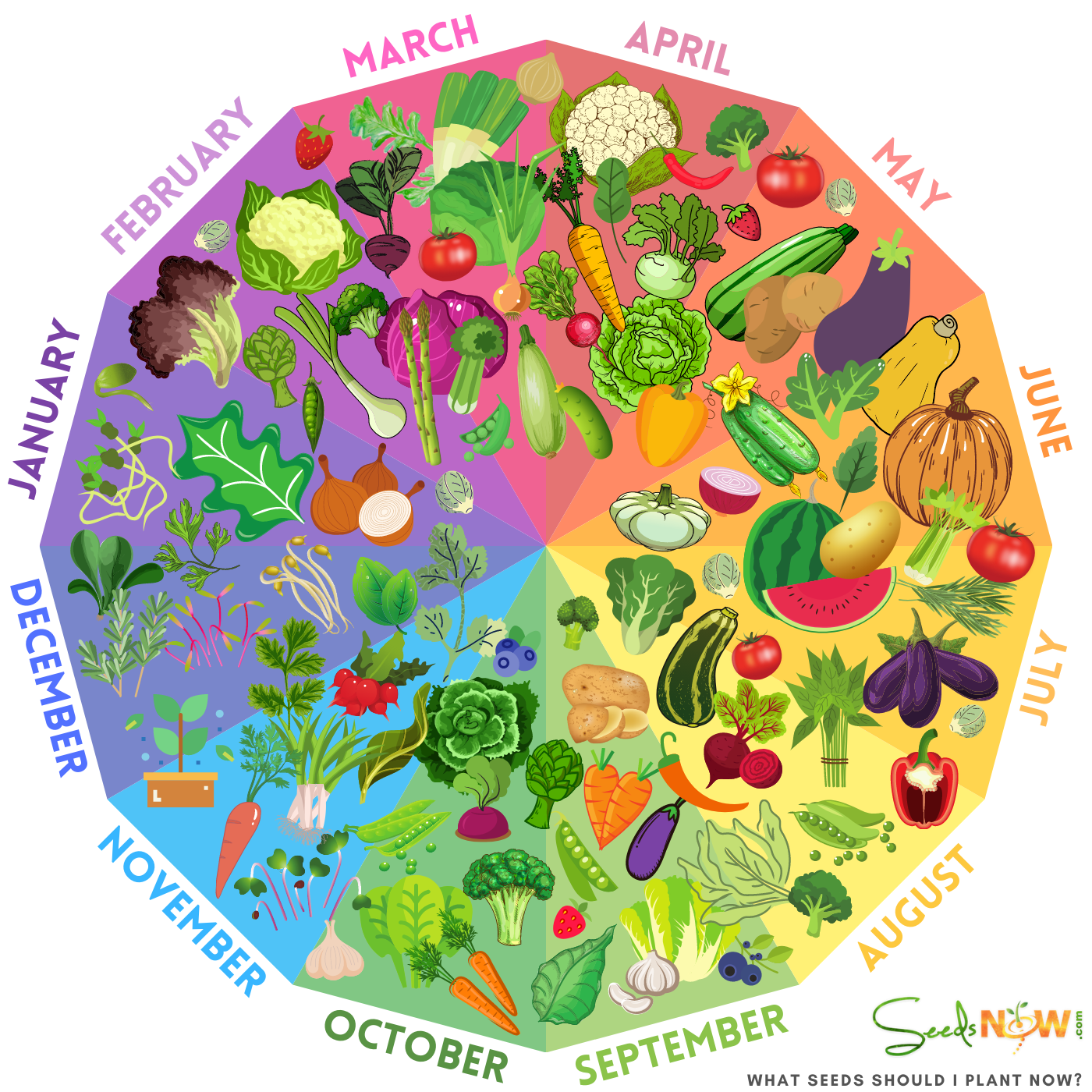 What Seeds Should I Be Planting RIGHT NOW? Urban Organic Gardener