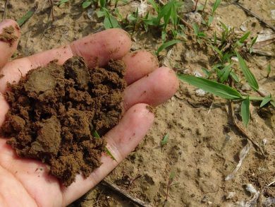 living earth garden soil living earth garden soil
