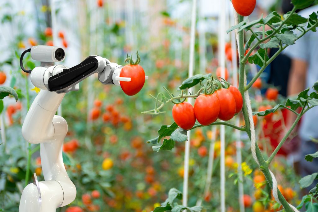 Shanghai’s First Unmanned Farm – Urban Organic Gardener