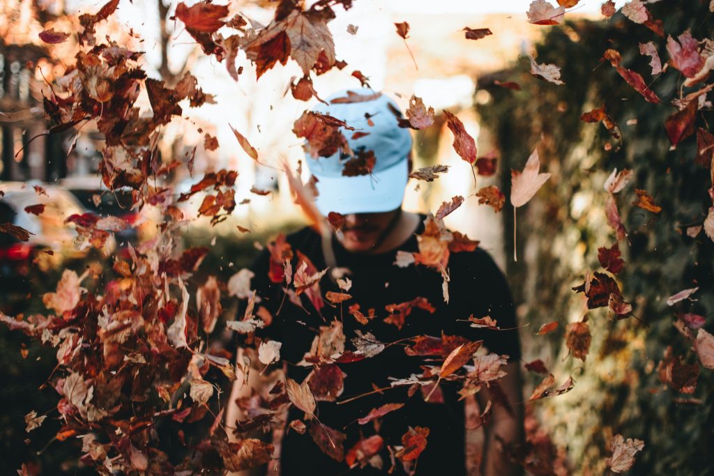 ‘Leave the Leaves!’ – Urban Organic Gardener